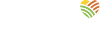 Saljamex logo blanco