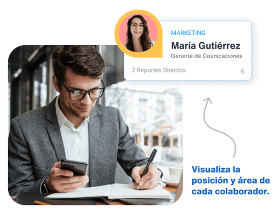 Organigrama 2