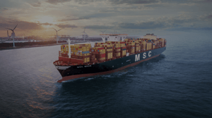 Encabezado MSC