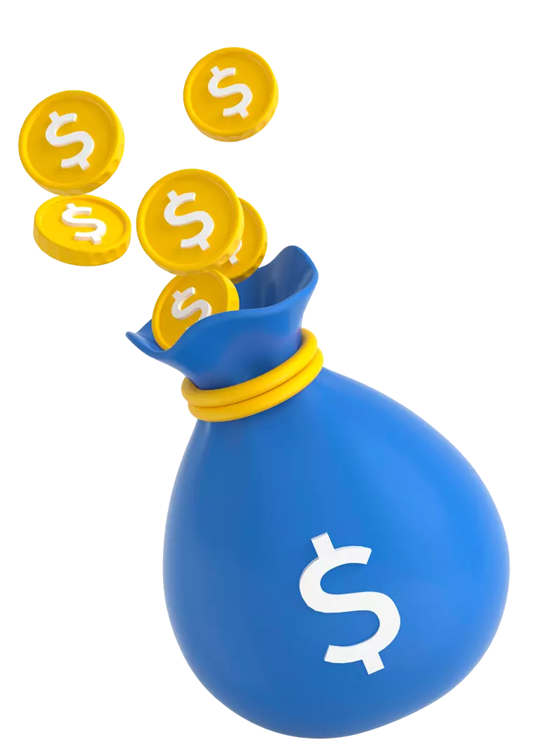 Money-bag Money-bag